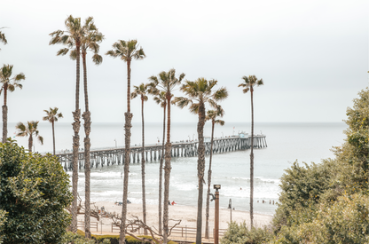 A horizontal landscape coastal photography shot of the San Clemente Pier from behind a lush line of tall palm trees. This beachscape print highlights the California coast and is ideal for large landscape beach art or a beach theme wall decor, with subtle ocean waves. 