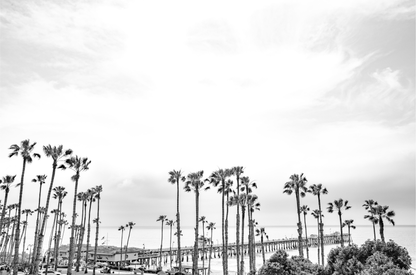 Horizontal black and white coastal photography of many palm trees in the foreground, with the San Clemente Pier extending into the ocean in the background. This large landscape beach art conveys strong beach vibes.