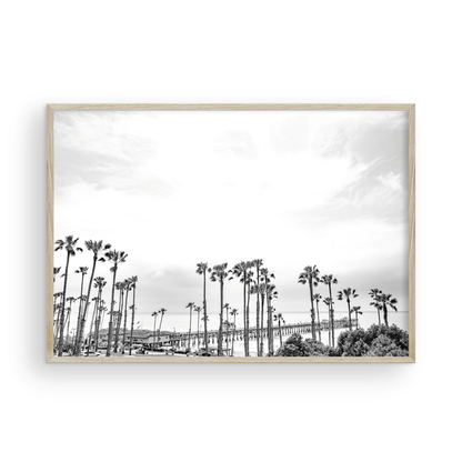 Horizontal black and white coastal photography of many palm trees in the foreground, with the San Clemente Pier extending into the ocean in the background. This large landscape beach art conveys strong beach vibes. Photograph in minimalist mock up.