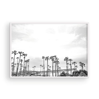 Horizontal black and white coastal photography of many palm trees in the foreground, with the San Clemente Pier extending into the ocean in the background. This large landscape beach art conveys strong beach vibes. Photograph in minimalist mock up.
