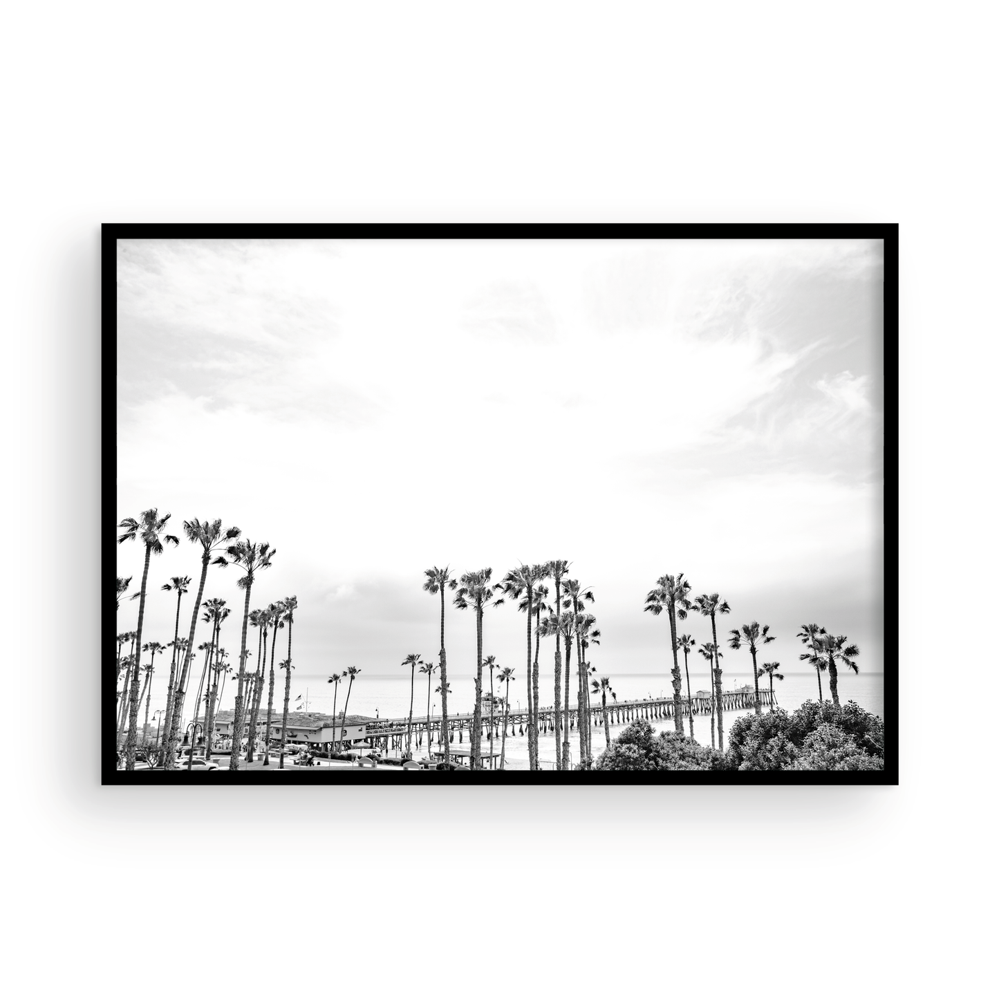 San Clemente 8418 Black and White