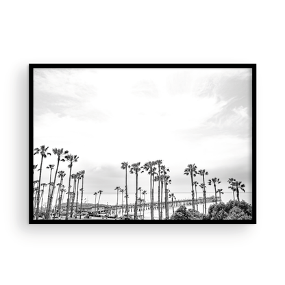 Horizontal black and white coastal photography of many palm trees in the foreground, with the San Clemente Pier extending into the ocean in the background. This large landscape beach art conveys strong beach vibes. Photograph in minimalist mock up.