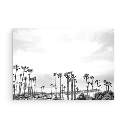 Horizontal black and white coastal photography of many palm trees in the foreground, with the San Clemente Pier extending into the ocean in the background. This large landscape beach art conveys strong beach vibes. Photograph in minimalist mock up.