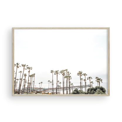 Horizontal landscape coastal photography of many palm trees in the foreground, with the San Clemente Pier extending into the ocean in the background. This large landscape beach art conveys strong beach vibes. Photograph in minimalist mock up.