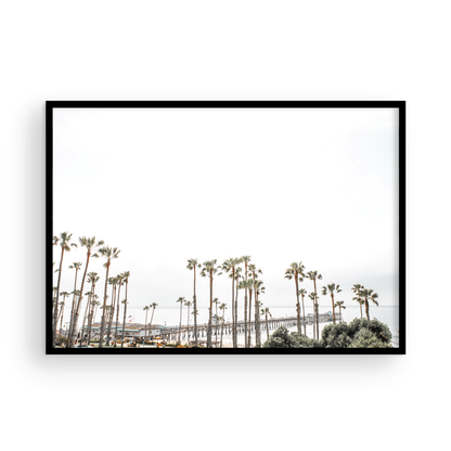 Horizontal landscape coastal photography of many palm trees in the foreground, with the San Clemente Pier extending into the ocean in the background. This large landscape beach art conveys strong beach vibes. Photograph in minimalist mock up.