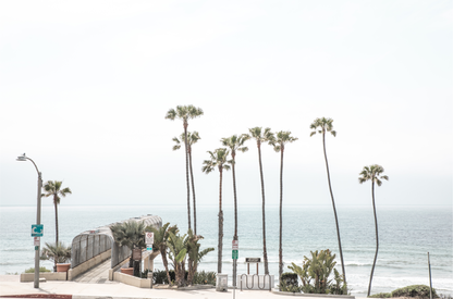 Landscape coastal photography of T-Street Beach in San Clemente, with tall palm trees and a unique pier structure leading to the ocean. A perfect horizontal California coast print.