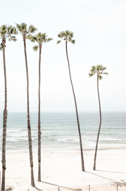 Vertical coastal print showcasing a line of very tall palm trees against the bright sky, overlooking the calm ocean waves. A quintessential tropical coastal print. 