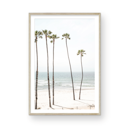 Vertical coastal print showcasing a line of very tall palm trees against the bright sky, overlooking the calm ocean waves. A quintessential tropical coastal print. Photograph in minimalist mock up.