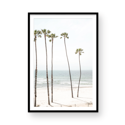 Vertical coastal print showcasing a line of very tall palm trees against the bright sky, overlooking the calm ocean waves. A quintessential tropical coastal print. Photograph in minimalist mock up.