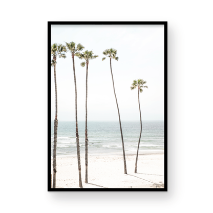 Vertical coastal print showcasing a line of very tall palm trees against the bright sky, overlooking the calm ocean waves. A quintessential tropical coastal print. Photograph in minimalist mock up.