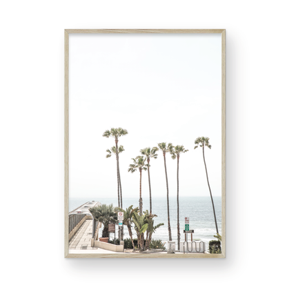Vertical California coast print featuring a row of tall palm trees standing beside the entrance to a pier, with the ocean in the background. A coastal palm tree print. Photograph in minimalist mock up.