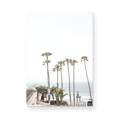 Vertical California coast print featuring a row of tall palm trees standing beside the entrance to a pier, with the ocean in the background. A coastal palm tree print. Photograph in minimalist mock up.