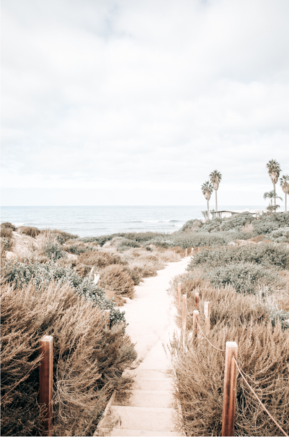 Minimalist vertical beach print showcasing the San Diego Sunset Cliffs, a sandy pathway with rustic wooden steps leading through coastal dune grass towards a calm ocean. This pastel beach art, evocative of the Southern California coastline, features a bright hazy sky and distant palm trees. A tranquil piece of travel photography, ideal for coastal wall art. 
