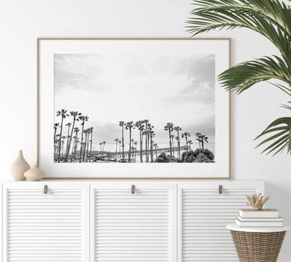 Horizontal black and white coastal photography of many palm trees in the foreground, with the San Clemente Pier extending into the ocean in the background. This large landscape beach art conveys strong beach vibes. Photograph in minimalist mock up.