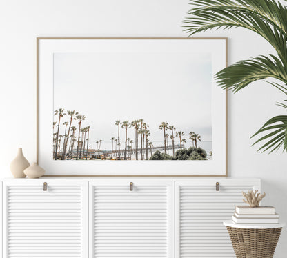Horizontal landscape coastal photography of many palm trees in the foreground, with the San Clemente Pier extending into the ocean in the background. This large landscape beach art conveys strong beach vibes. Photograph in minimalist mock up.