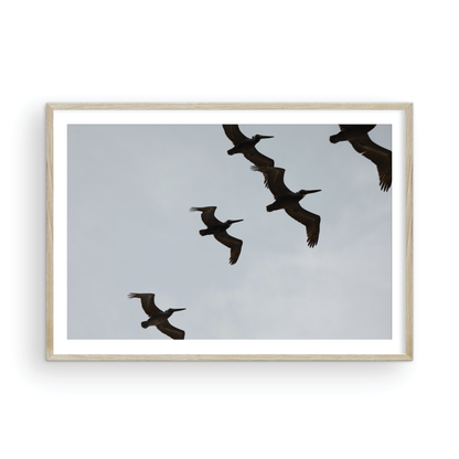 Birds Above 6018