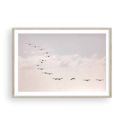 Birds at Sunset 5319