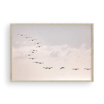 Birds at Sunset 5319