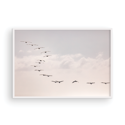 Birds at Sunset 5319