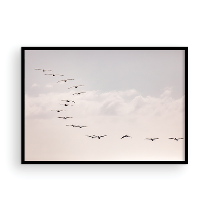 Birds at Sunset 5319