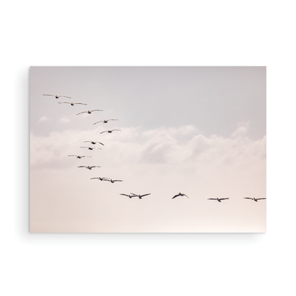 Birds at Sunset 5319