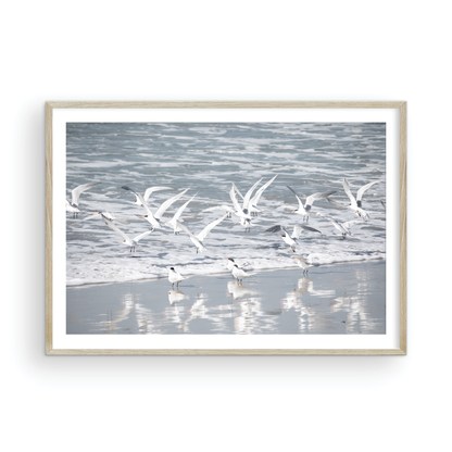 Birds in Surf 5038