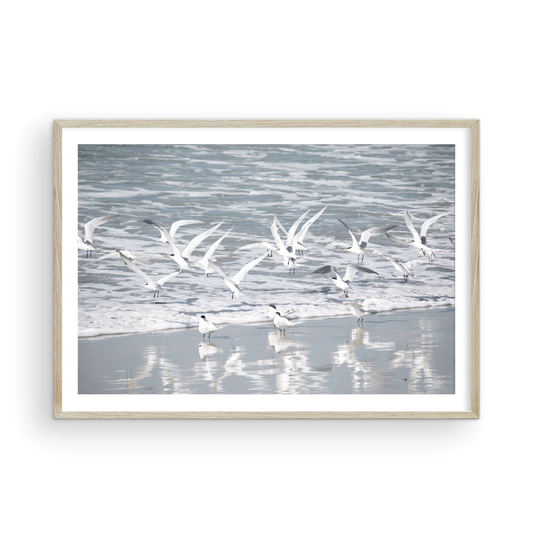 Birds in Surf 5038