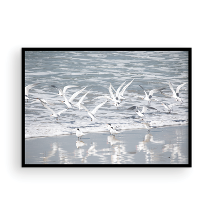 Birds in Surf 5038