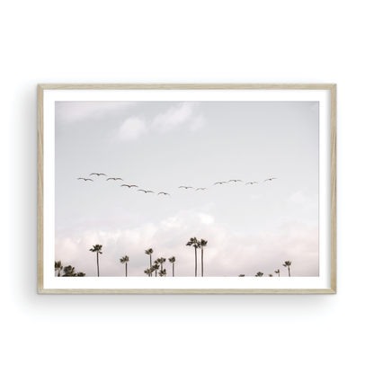 Birds over Palms 5301