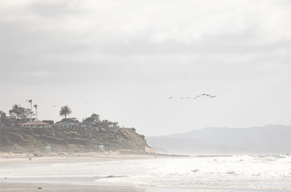 Cardif by the Sea 5200