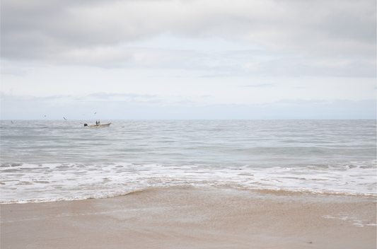 Crystal Cove 6303