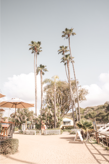 Crystal Cove 6372