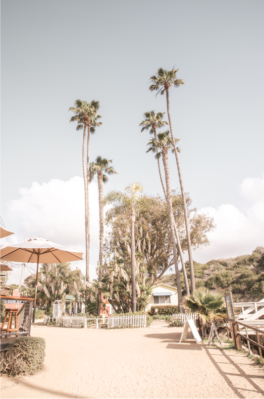 Crystal Cove 6372