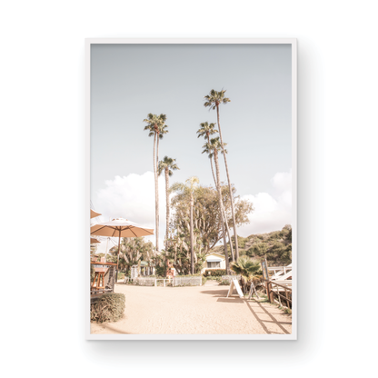 Crystal Cove 6372