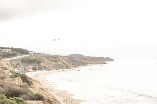 Crystal Cove 6417