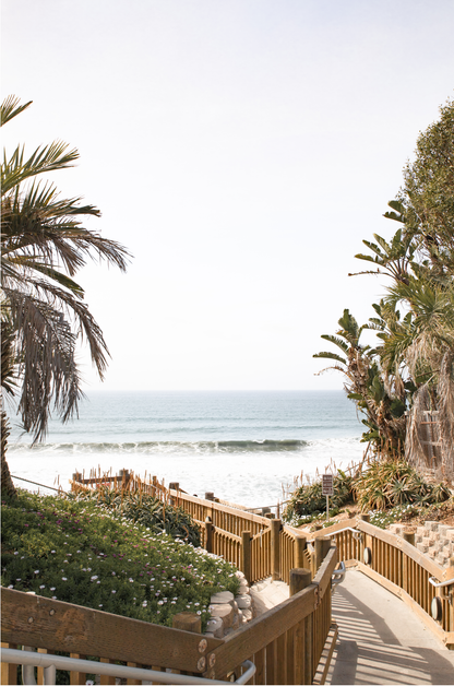 Vertical coastal wall print featuring a stairway leading down to a beach with palm trees and ocean view. 