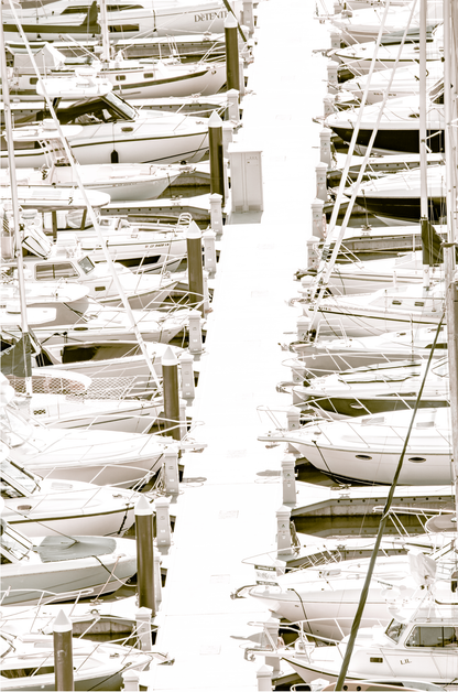 Vertical nautical wall print featuring a marina packed with white boats docked at the San Diego harbor. 
