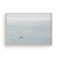 Dana Point 6842