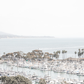 Dana Point 6849