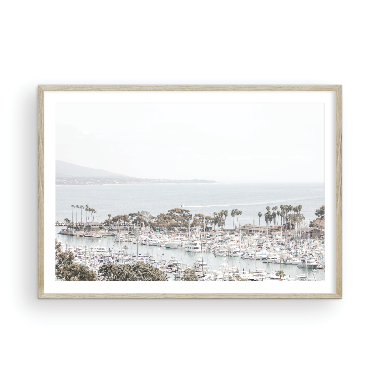 Dana Point 6849