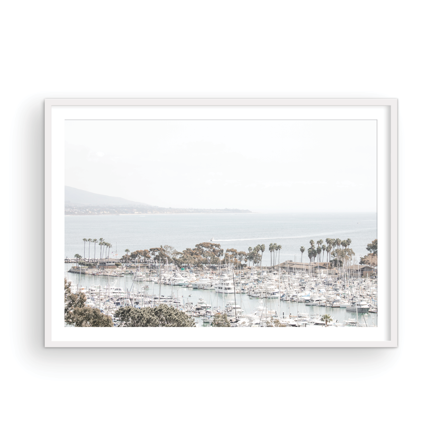 Dana Point 6849