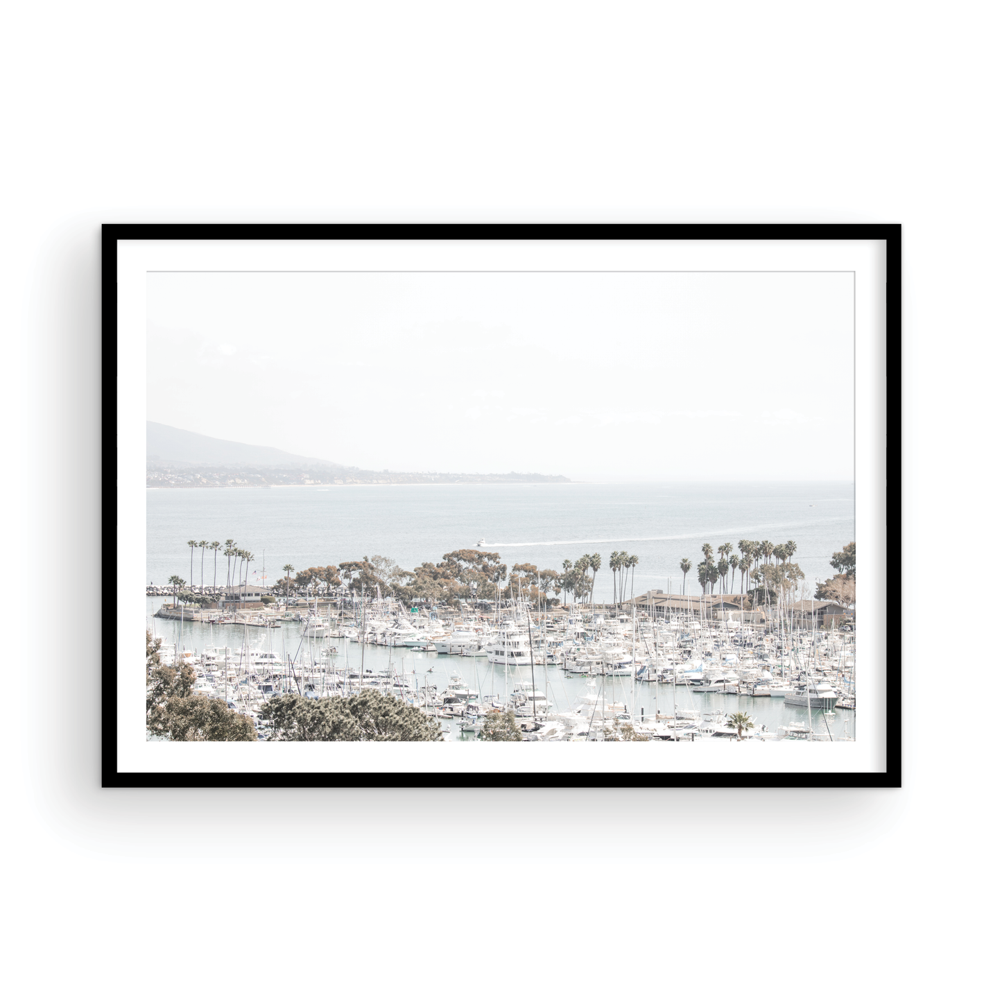 Dana Point 6849