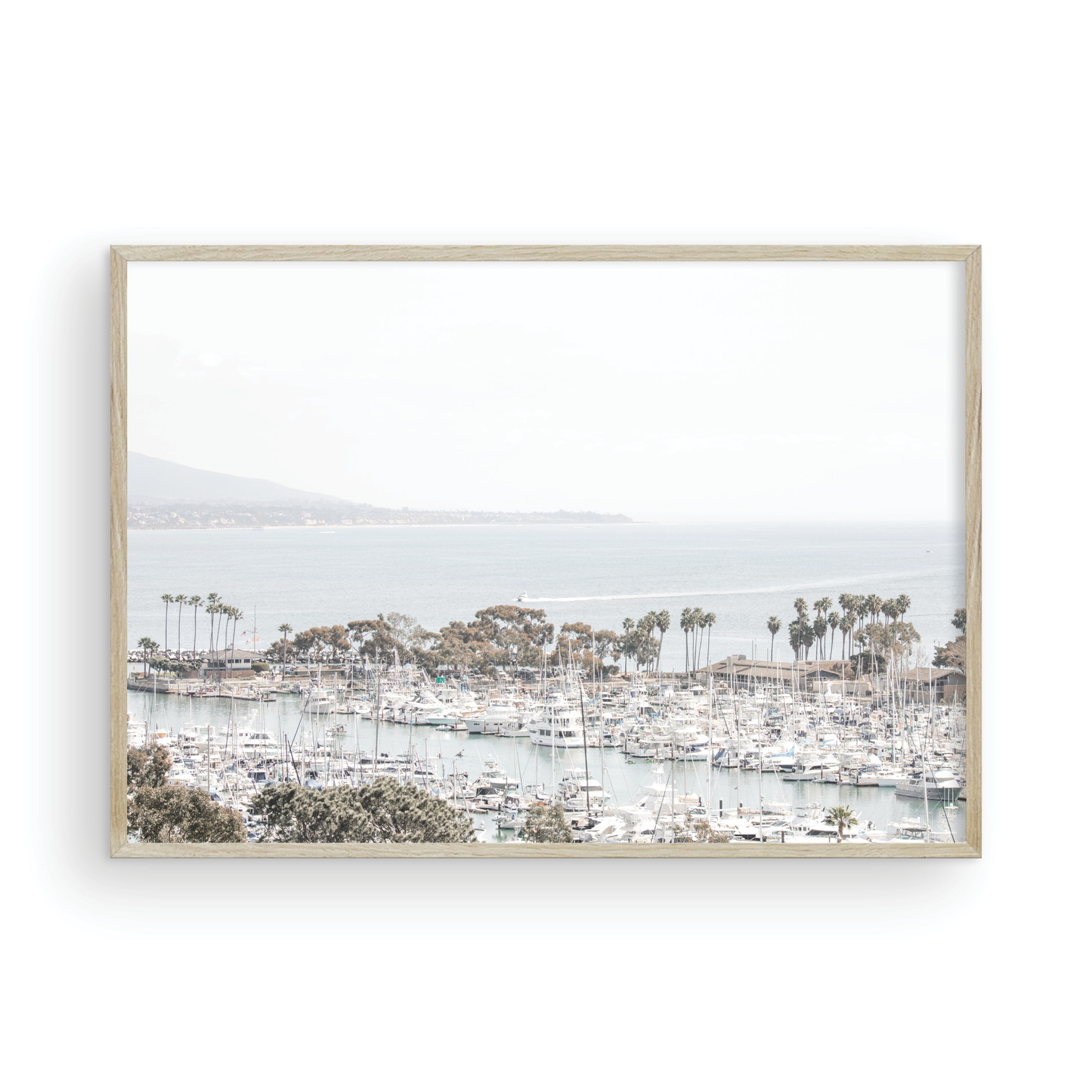Dana Point 6849