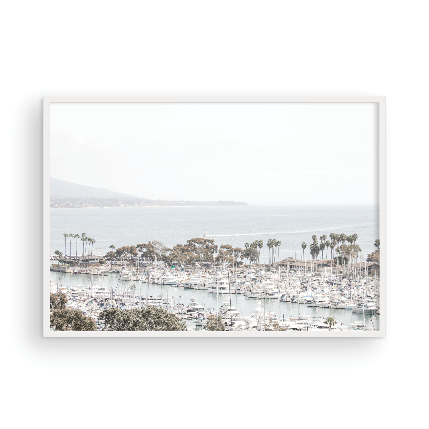 Dana Point 6849