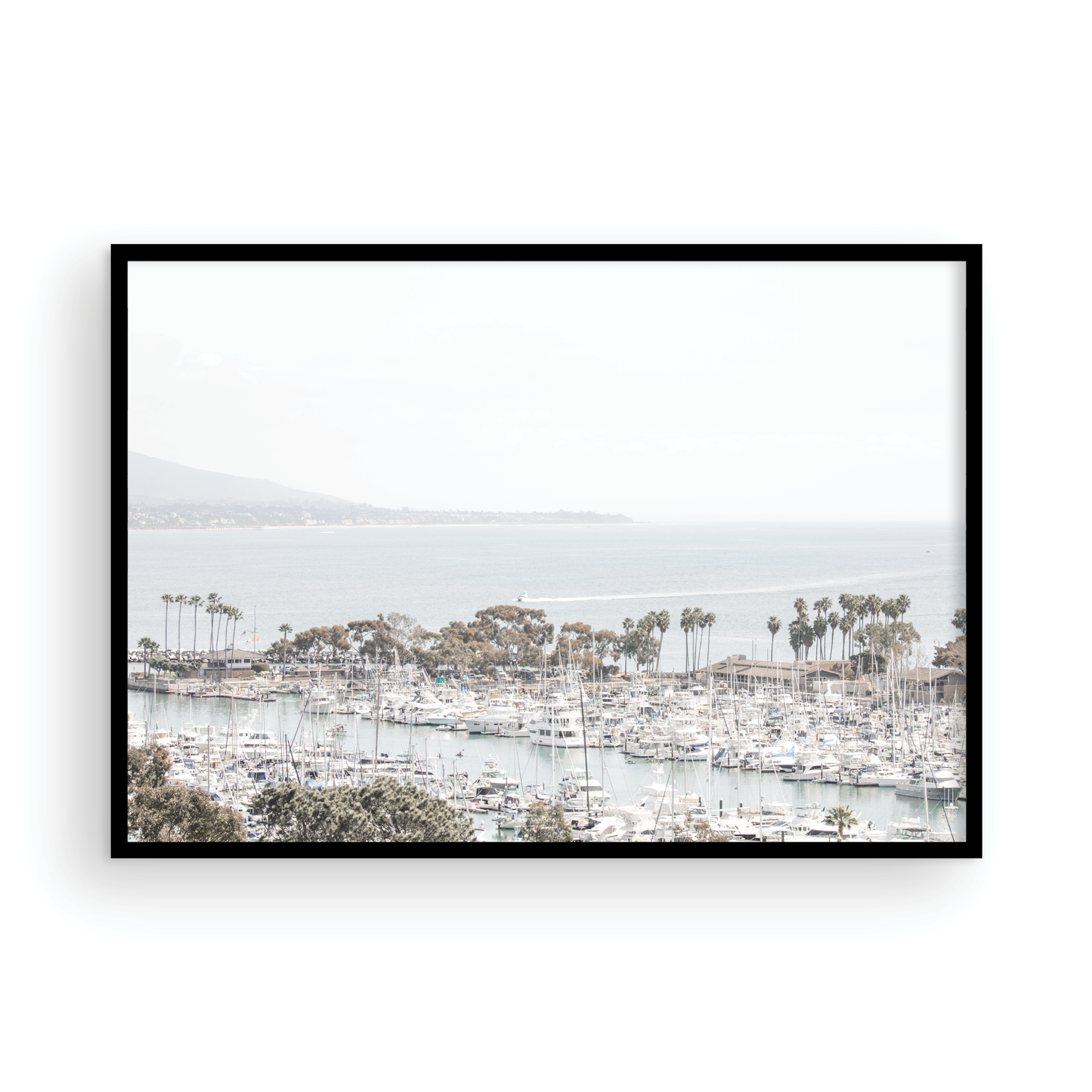 Dana Point 6849