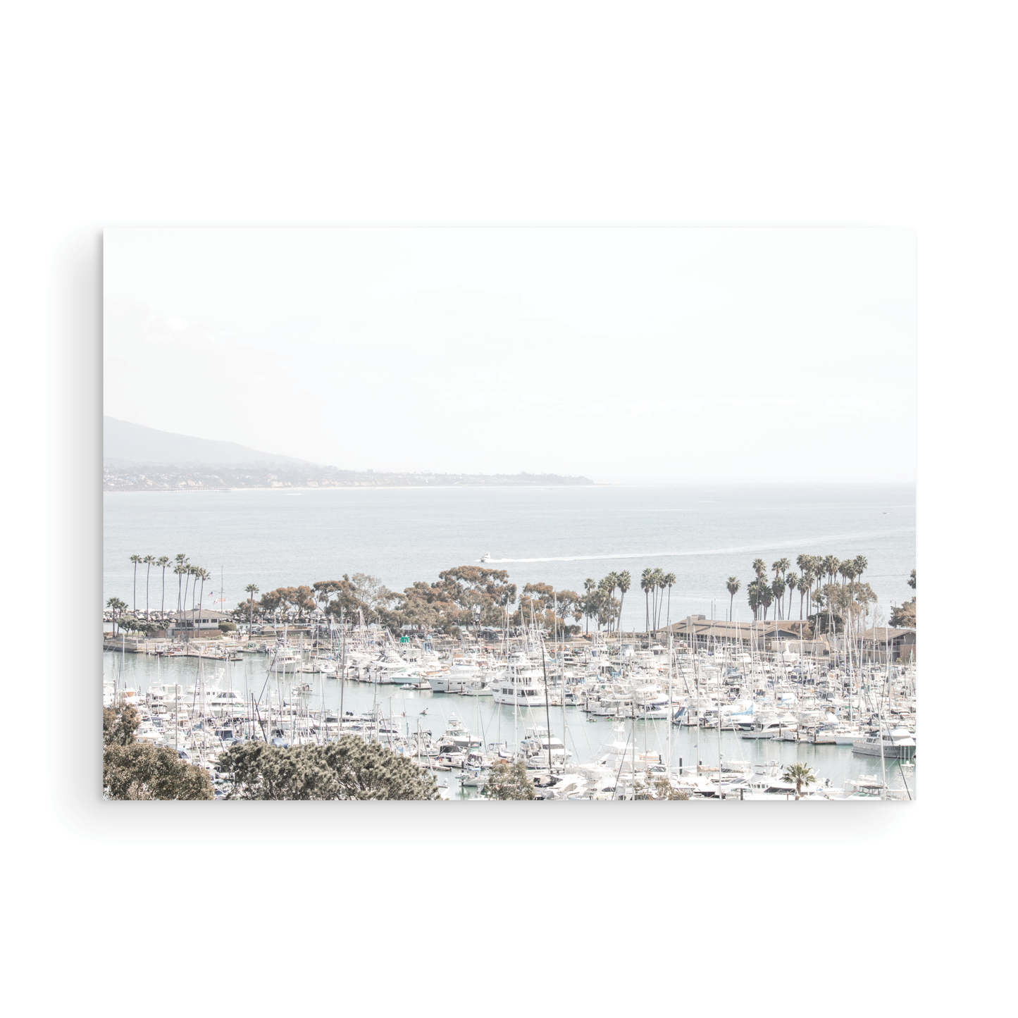 Dana Point 6849
