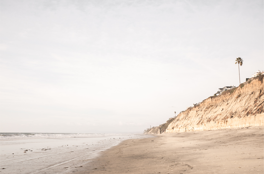 Beach scene with a palm tree on a cliff under a cloudy sky, the sandy shores meeting the tide. This image evokes surf vibes and summer. Photograph in minimalist mock up.
