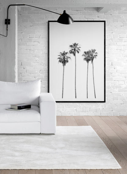 Minimalist palm tree print in black and white, showcasing a line of tall palm trees against a bright background. This vertical wall art is a coastal palm tree print. Photograph in minimalist mock up.