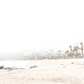 Laguna Beach 8009