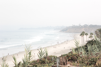 Landscape San Diego beach print showing seascape with gentle ocean waves in the water near a sandy cliff. 